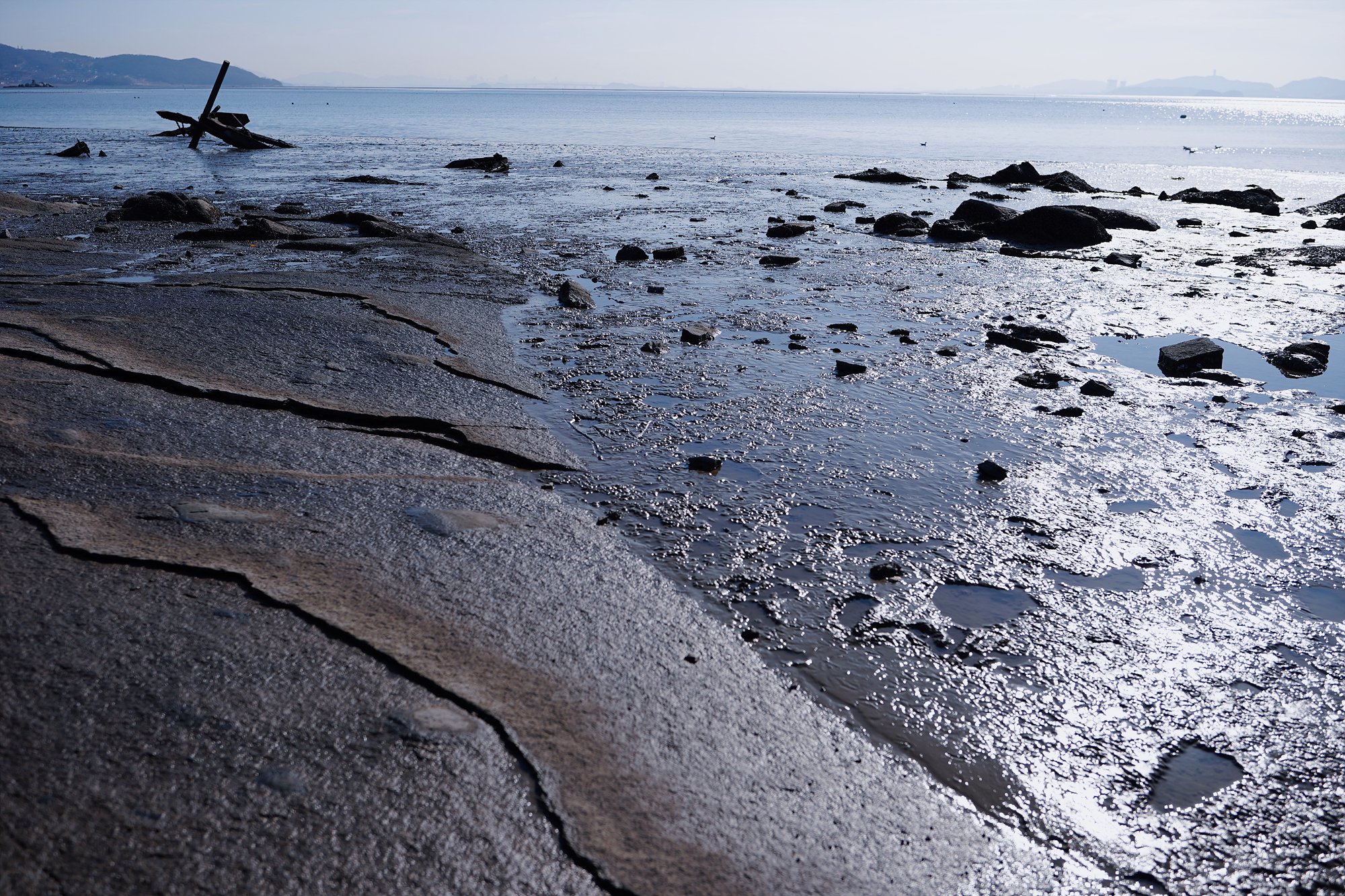 동막해변가 사진