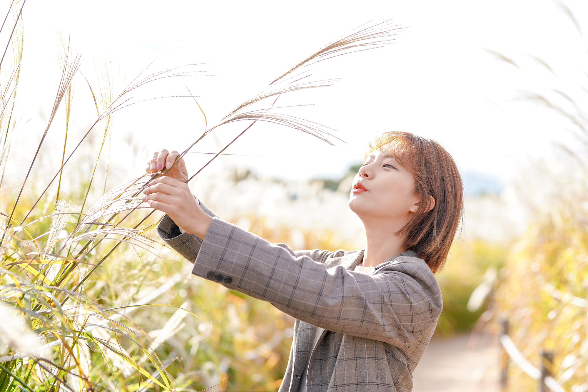 세프2기 정호윤 리뷰