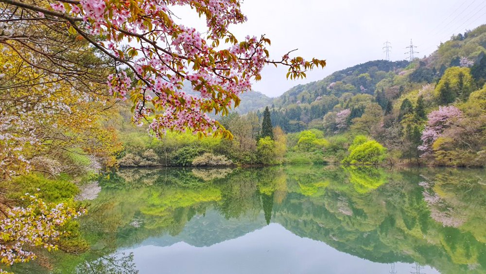 세프3기 황현정 2차미션