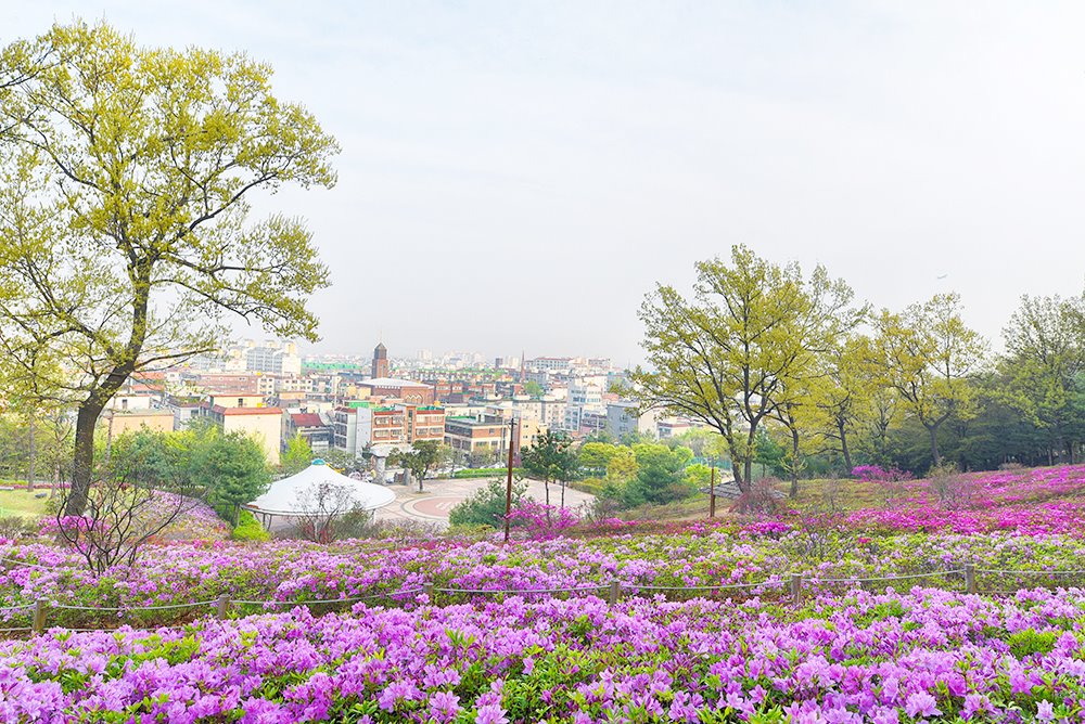 세프3기 황현정 2차미션