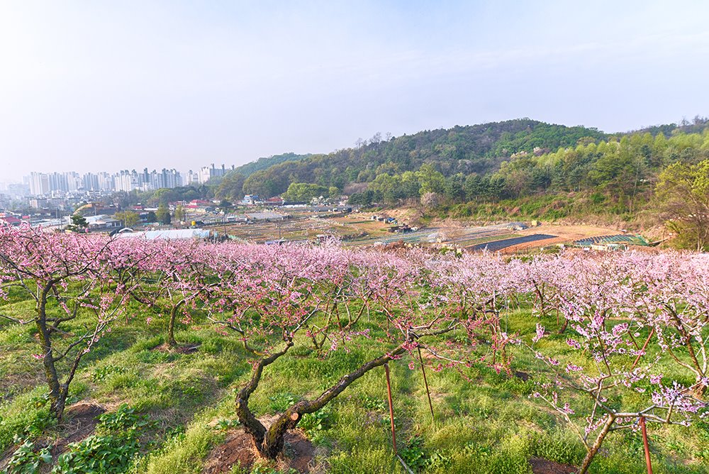 세프3기 황현정 2차미션