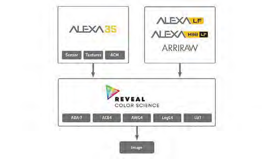 ARRI ALEXA 35