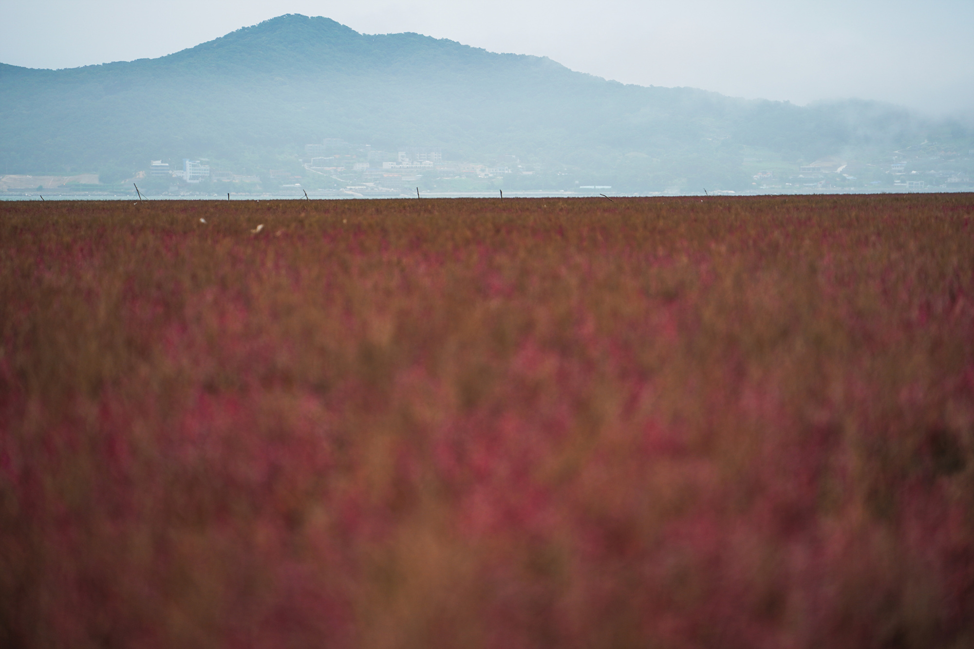 석모도