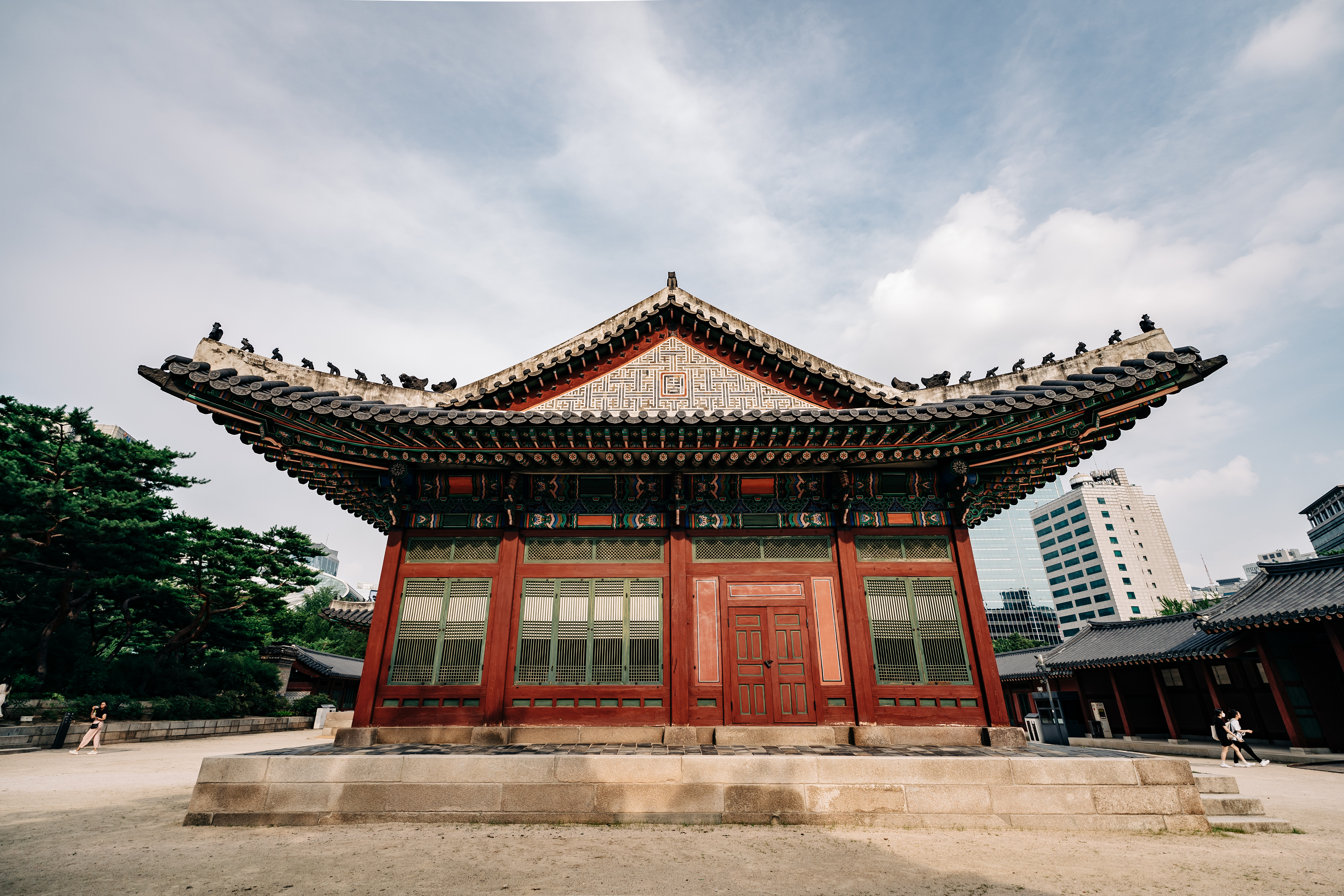 사진