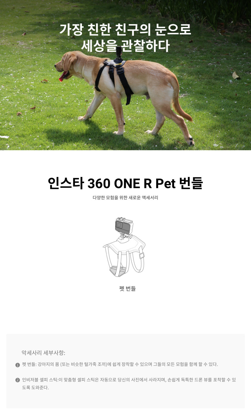 인스타360 펫 번들