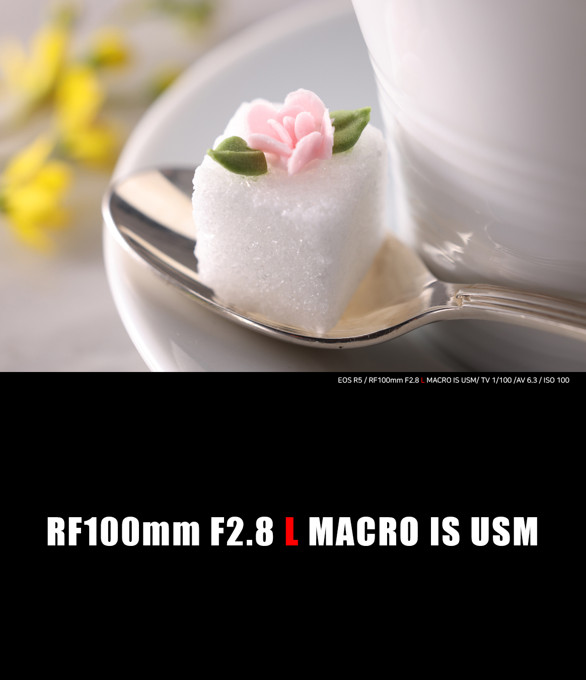 RF100F28LMIU