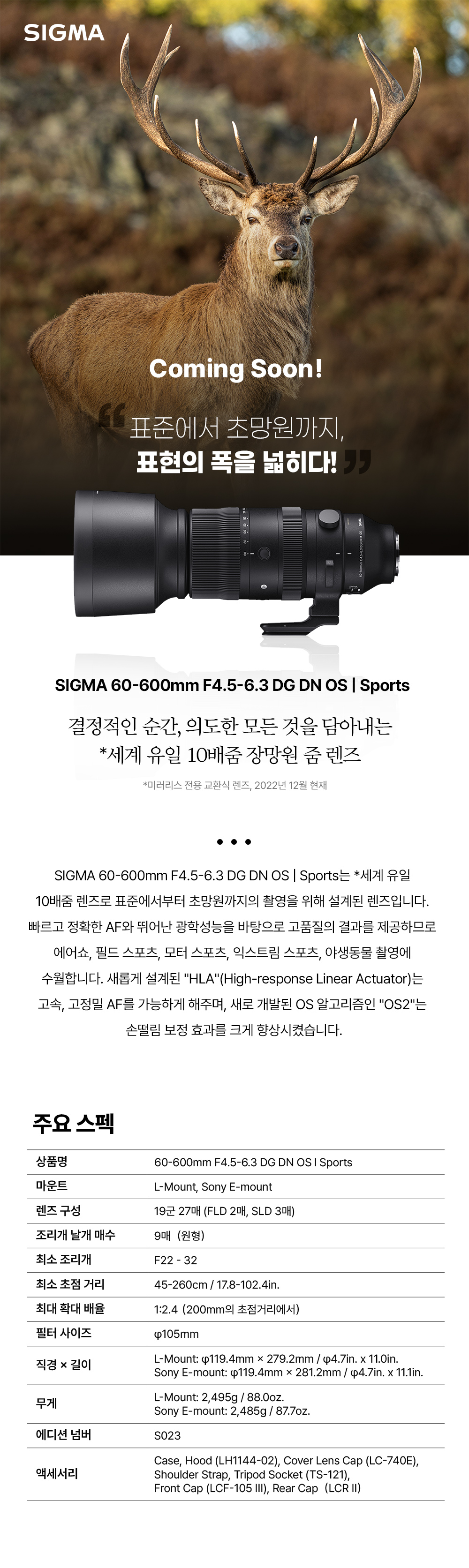 SIGMA 60-600mm F4.5-6.5 DG DN | Sports