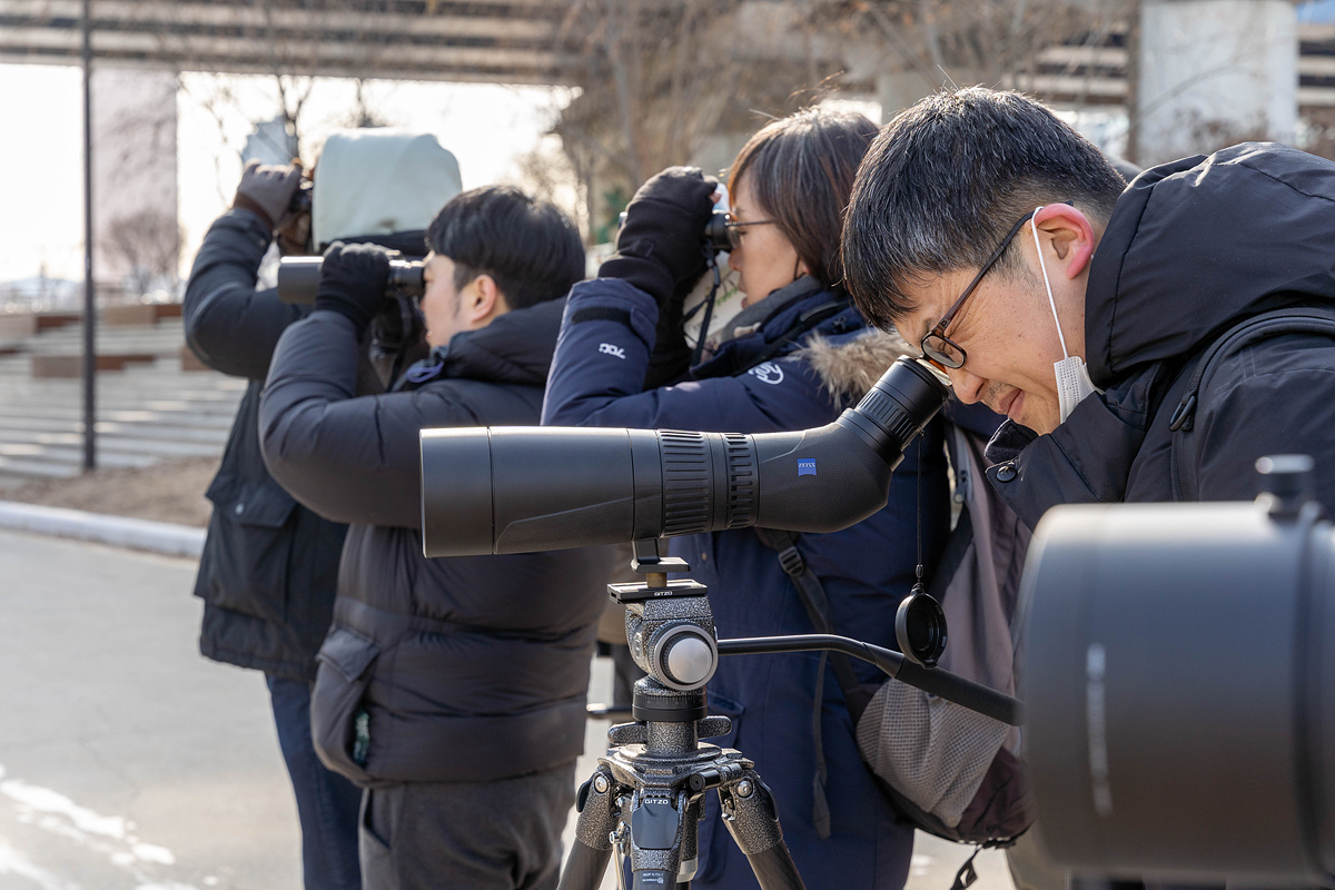 탐조의 품격 ZEISS & PENTAX