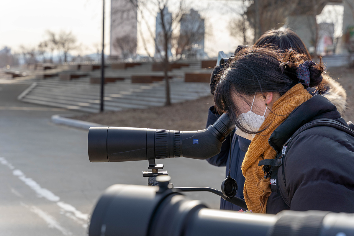 탐조의 품격 ZEISS & PENTAX