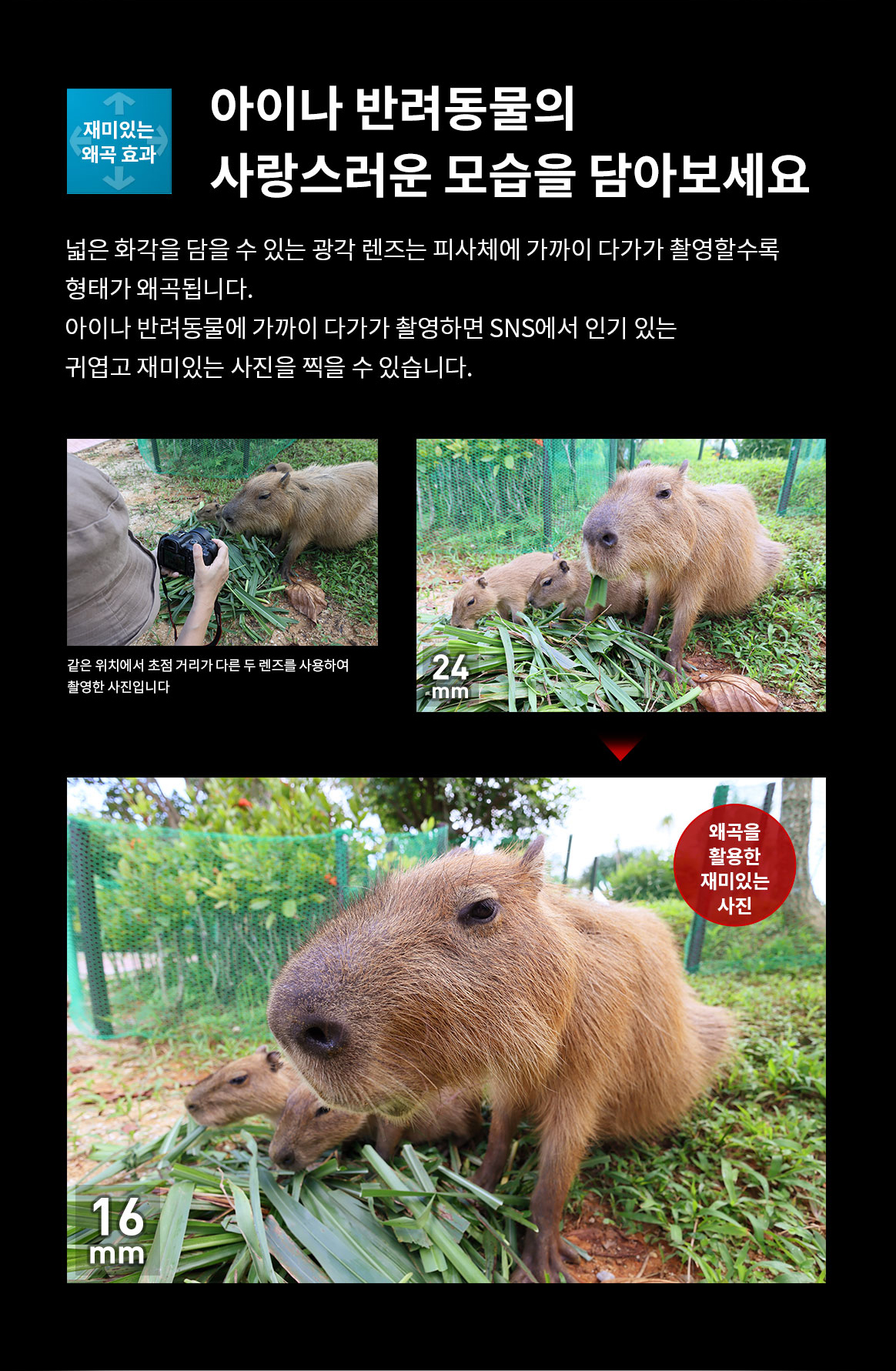 RF 16mm F2.8 STM