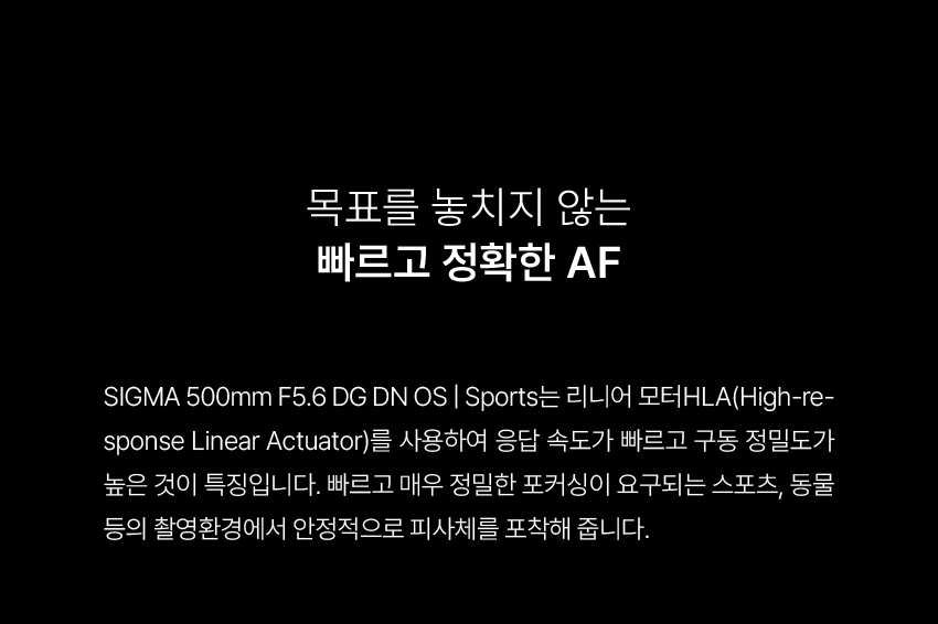 500mm F5.6 DG DN OS | Sports
