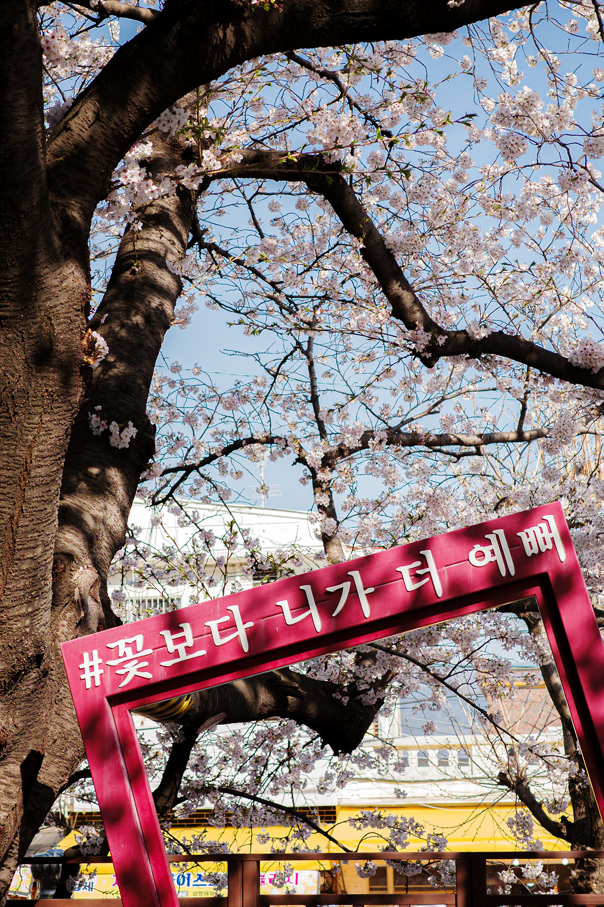 여좌천