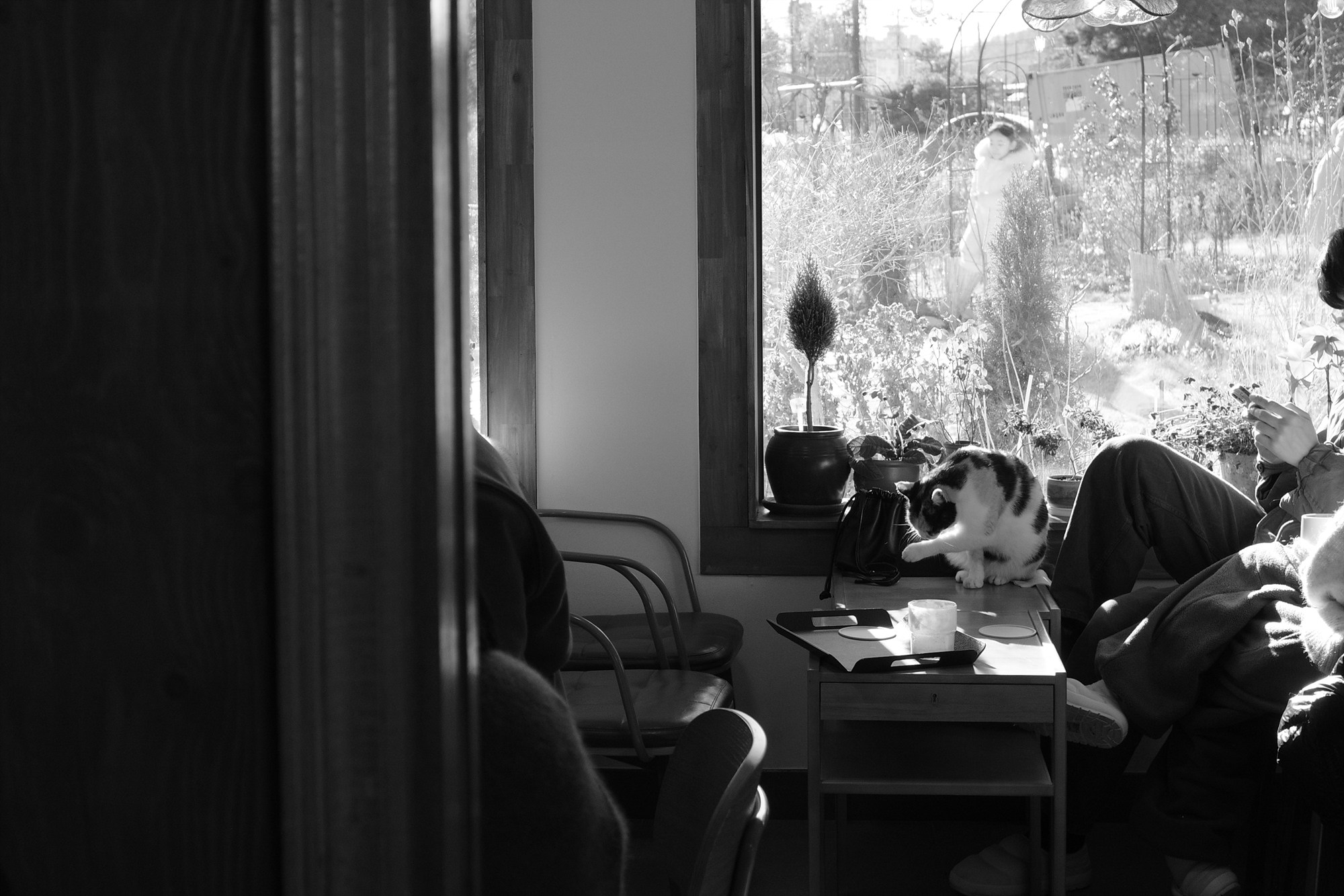 GR4 모노크롬 결과물 이미지