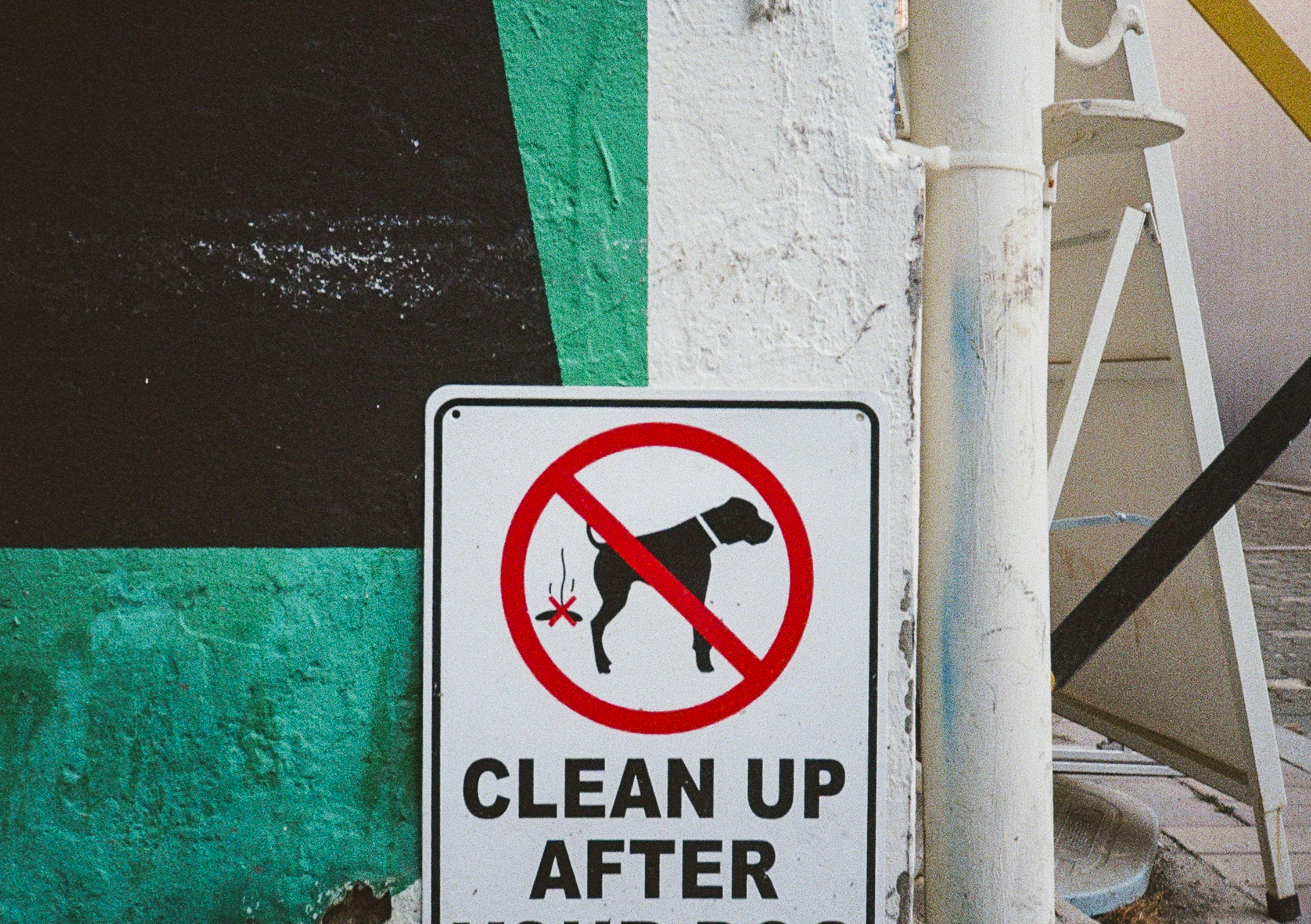 펜탁스17 필름카메라 컬러헌팅