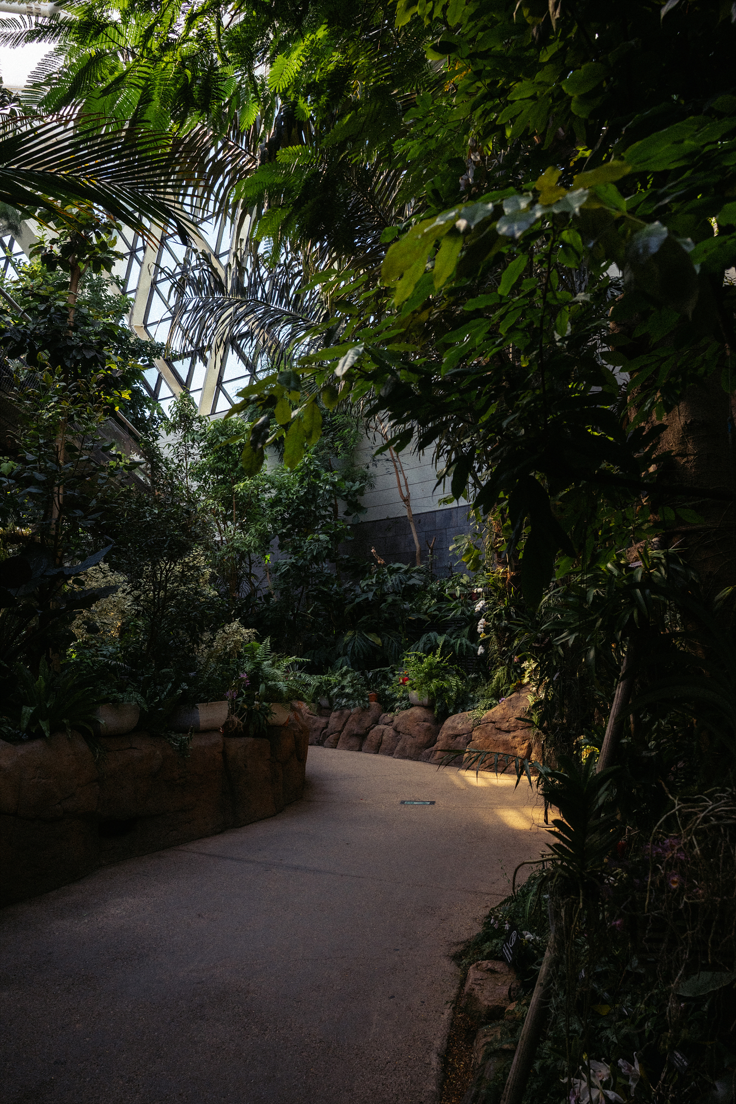 SIGMAC15mm,시그마C15mmDC