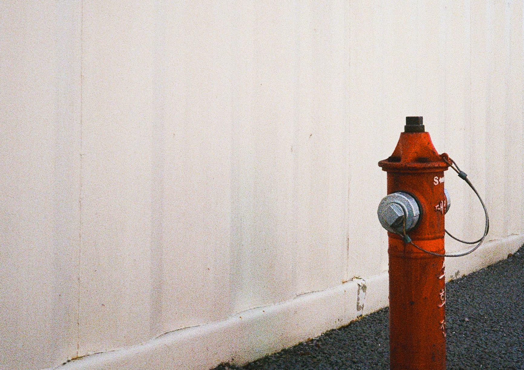 펜탁스17 필름카메라 컬러헌팅