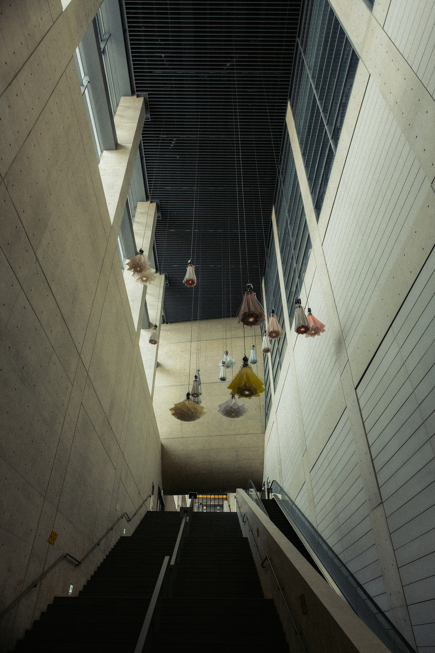 SIGMAC15mm,시그마C15mmDC