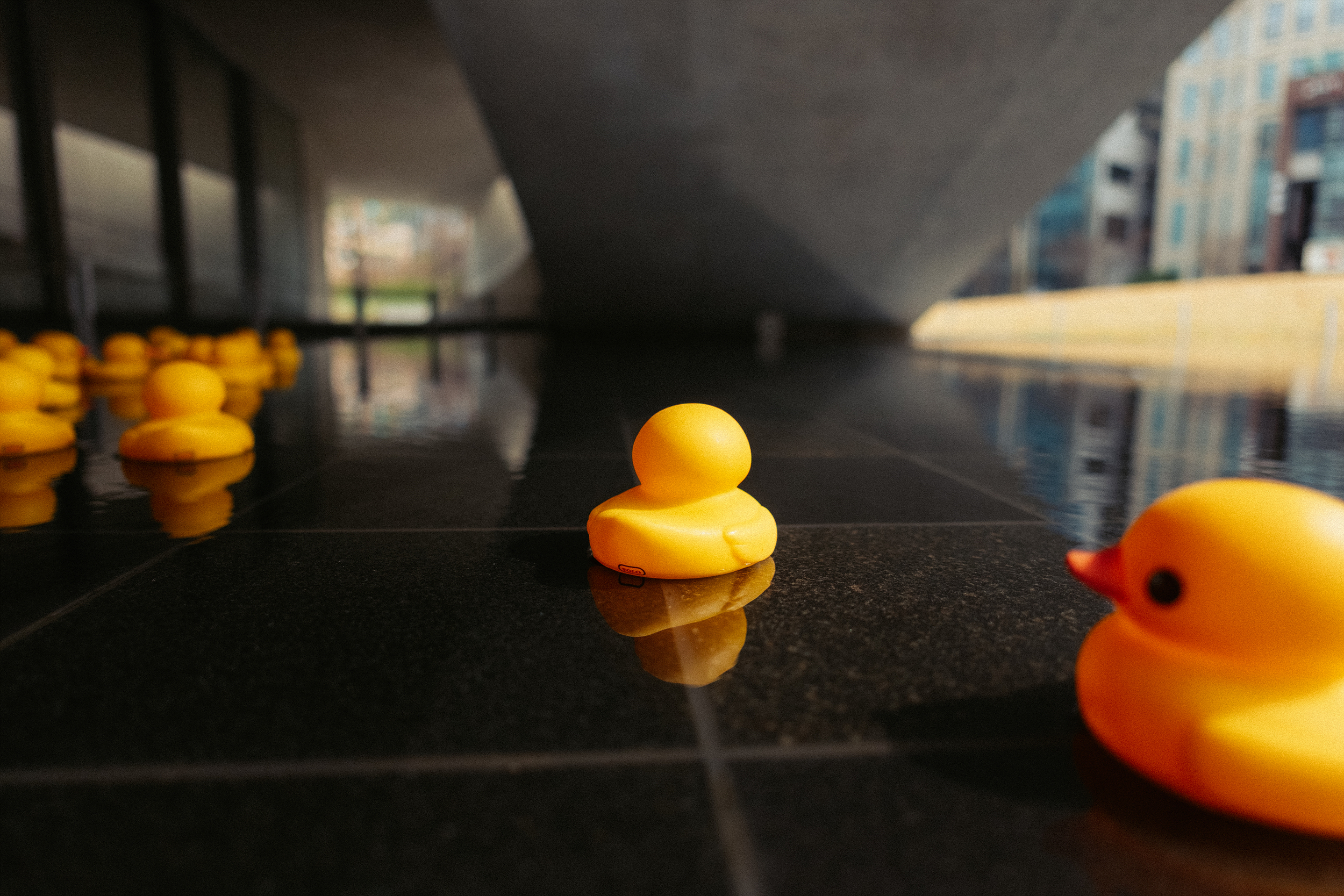 SIGMAC15mm,시그마C15mmDC