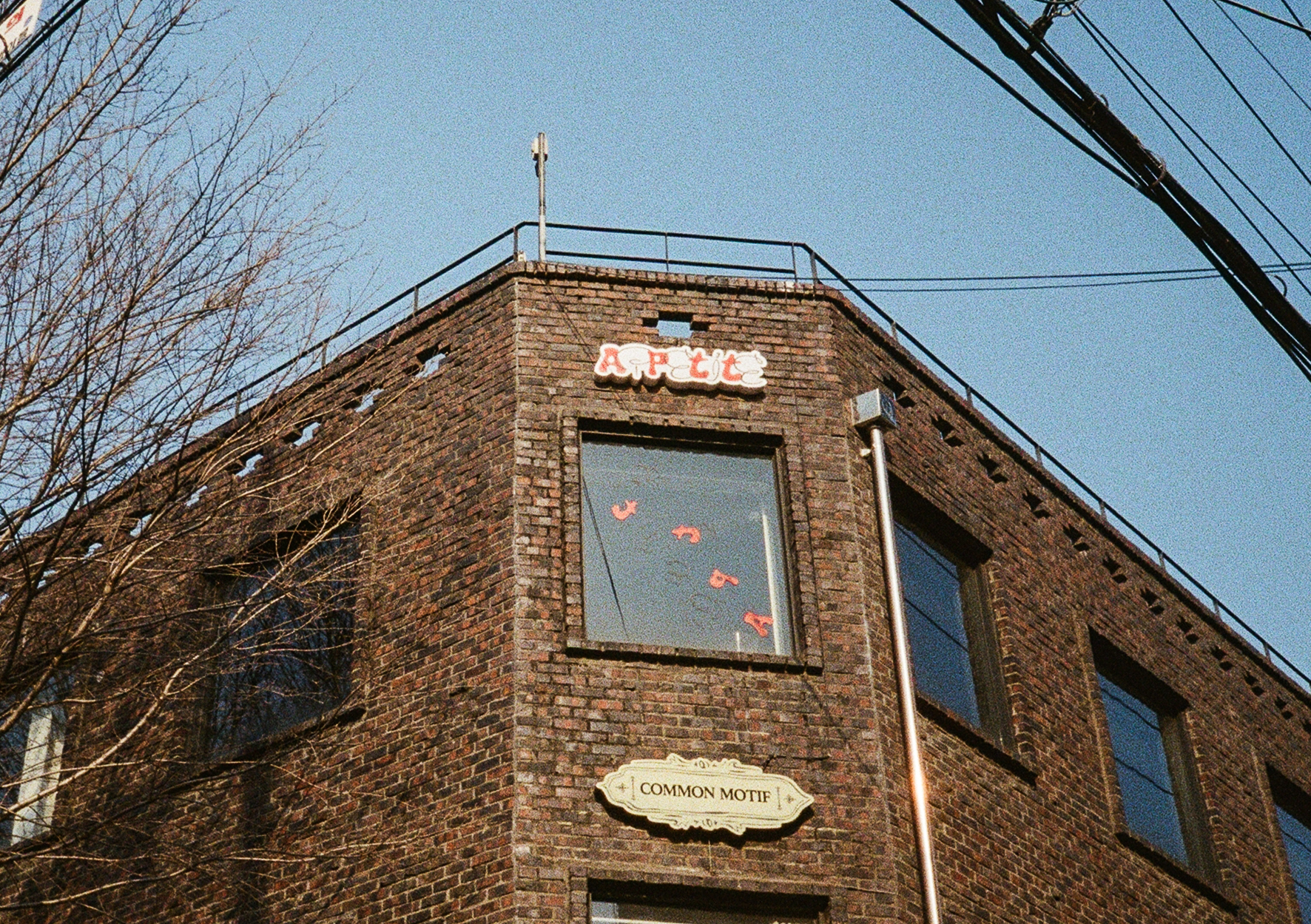 펜탁스17 필름카메라 컬러헌팅