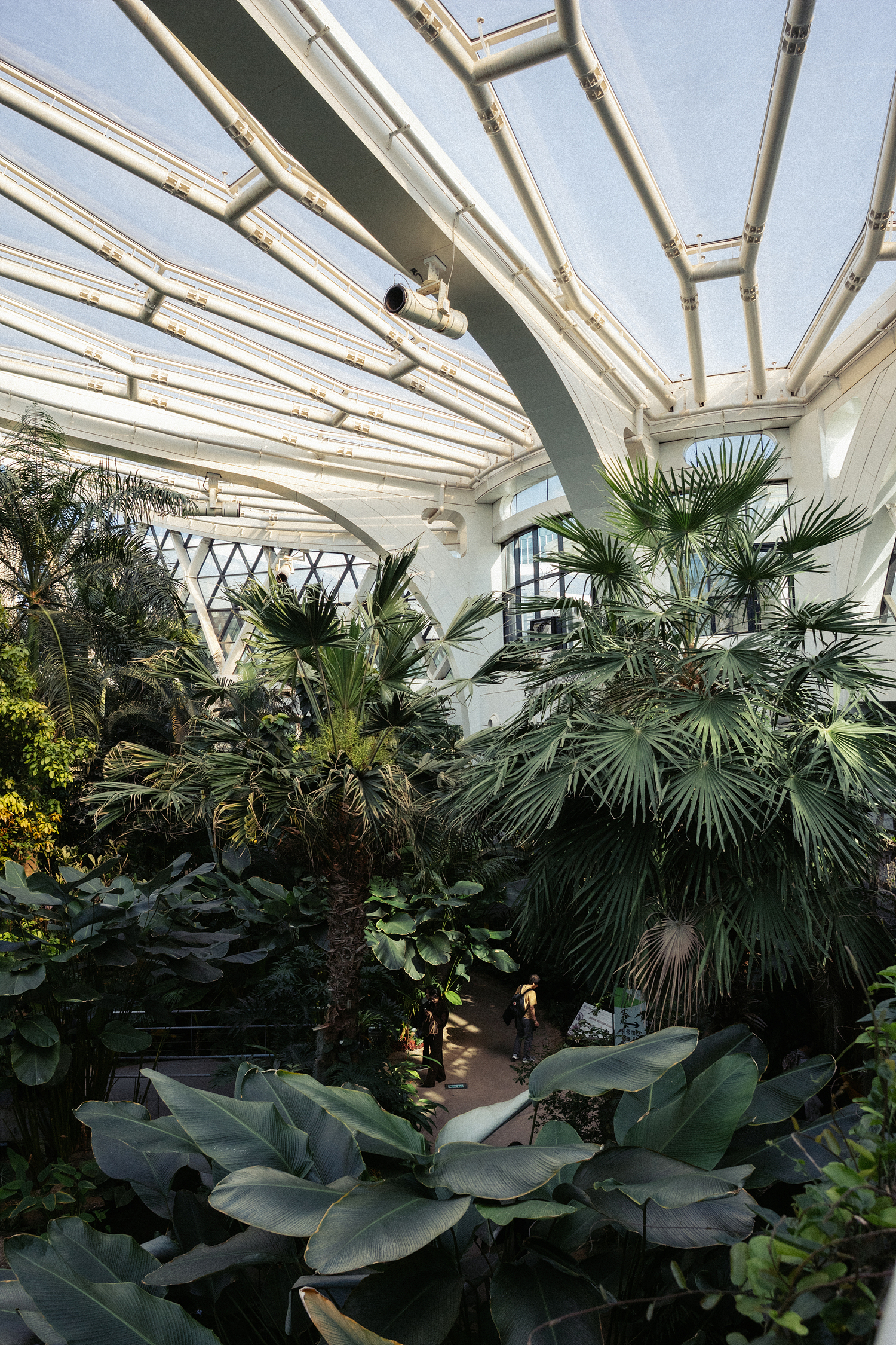 SIGMAC15mm,시그마C15mmDC