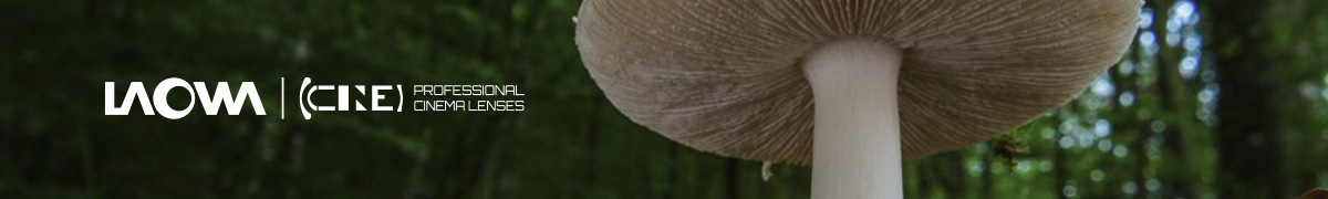 15-35mm T12 Macro