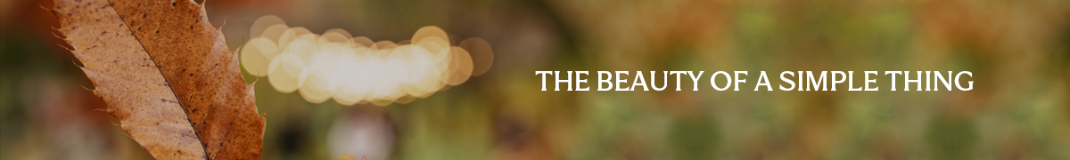 시그마 BF 카메라 사진 공모전