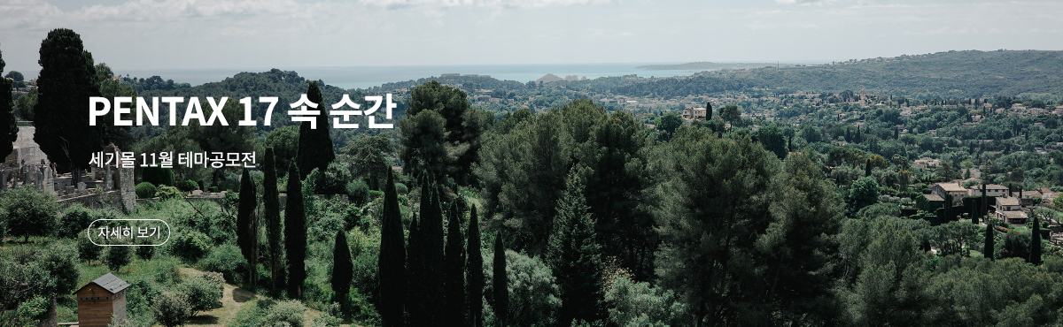 11월 테마공모전