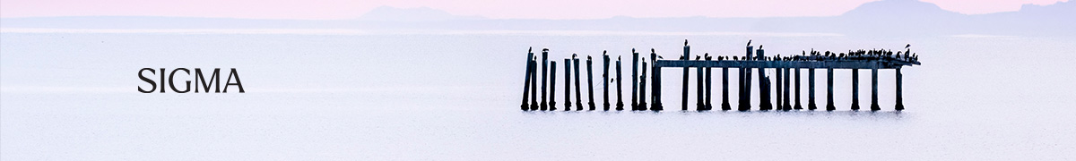 시그마 탐조 원데이 클래스