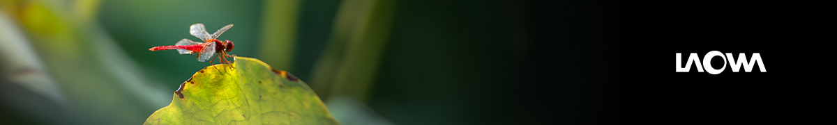 2026년 세기P&C 신년 사은품 혜택_라오와