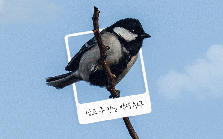 자이스 탐조 체험 이벤트