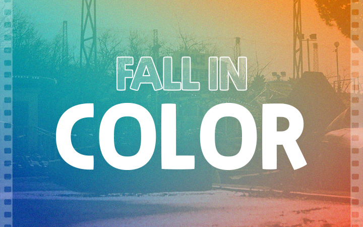 HARMAN 컬러 필름 기획전