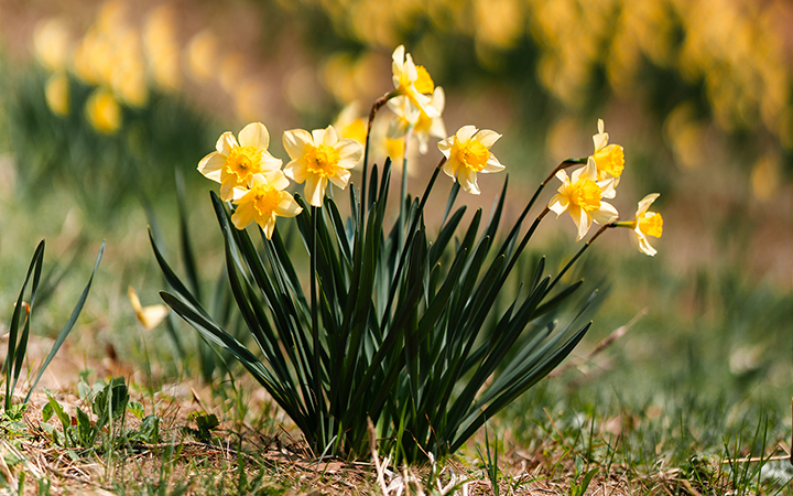 4월 테마공모전