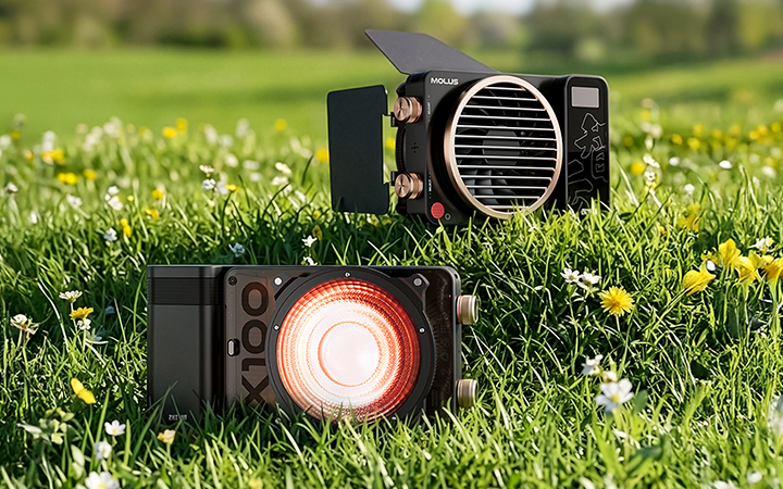 지윤 봄특가 이벤트