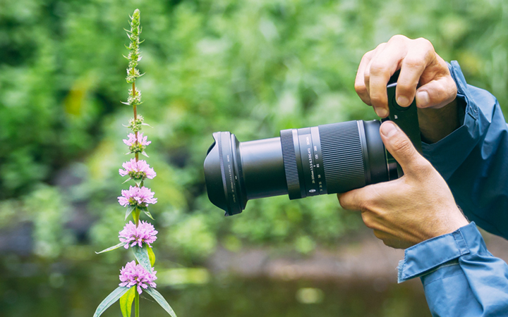 시그마 'Photo Walk in 청계천'