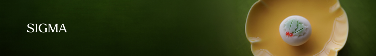 SIGMA 35mm F1.4 DG II | Art 런칭
