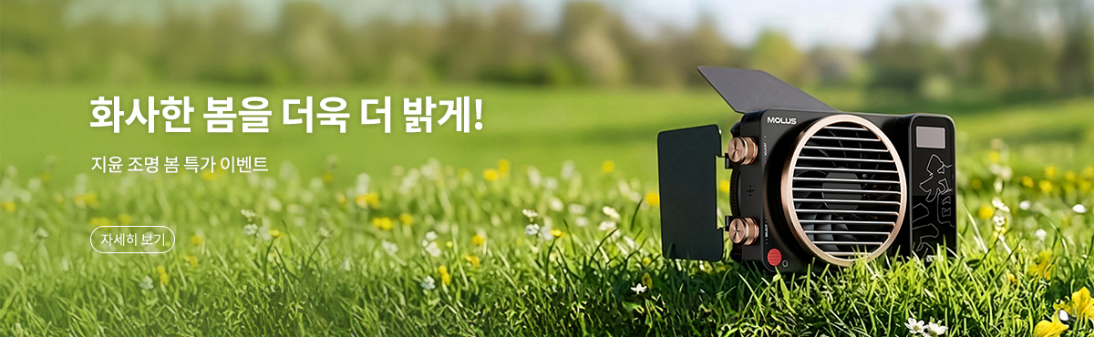 지윤 봄특가 이벤트