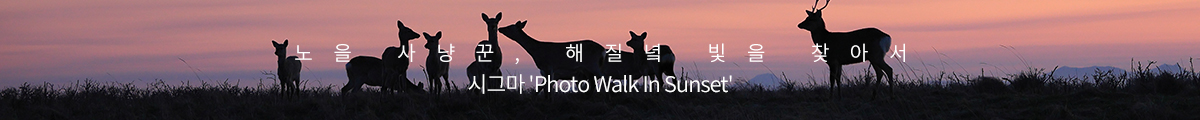 시그마 'Photo Walk in Sunset'