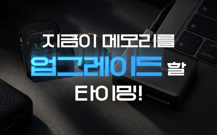 노바칩스 브랜드 단독 기획전