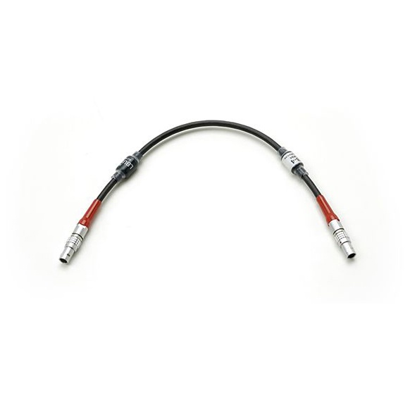 CABLE LBUS (0.3m/1ft)
