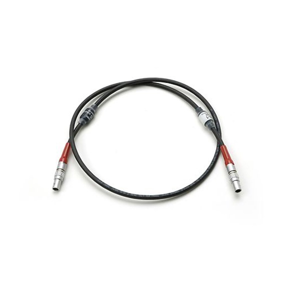 CABLE LBUS (0.8m/2.5ft)