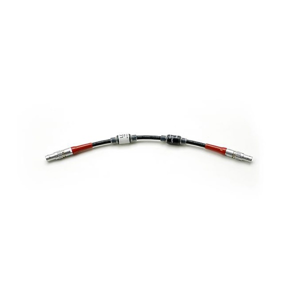 CABLE LBUS (0.2m/8inch)