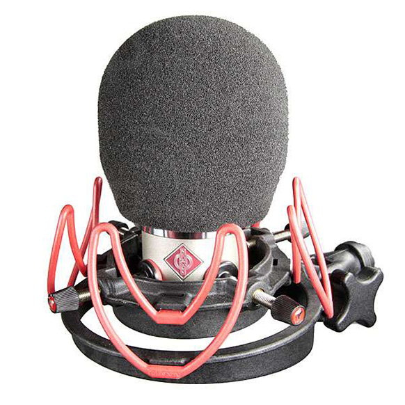 NEUMANN TLM 102 FOAM SINGLE