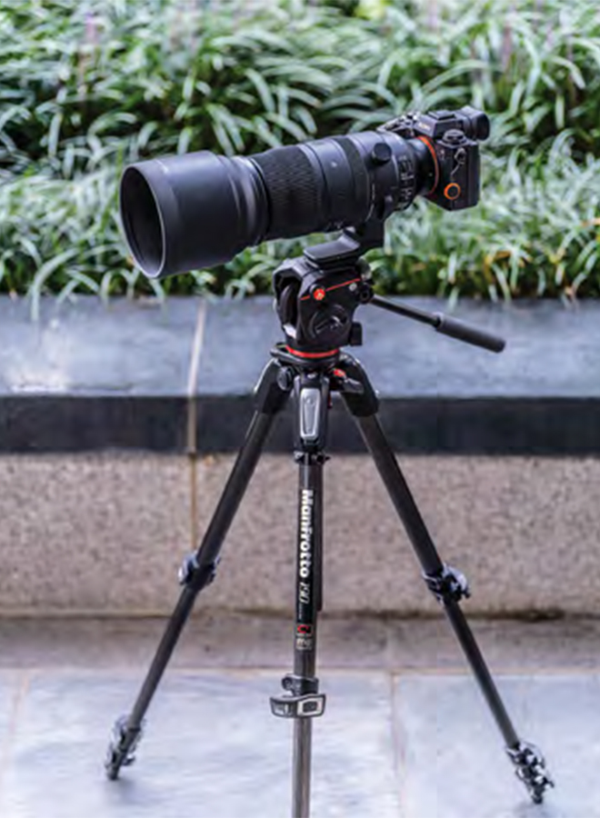 SIGMA 150-600mm F5-6.3 DG DN OSㅣSports