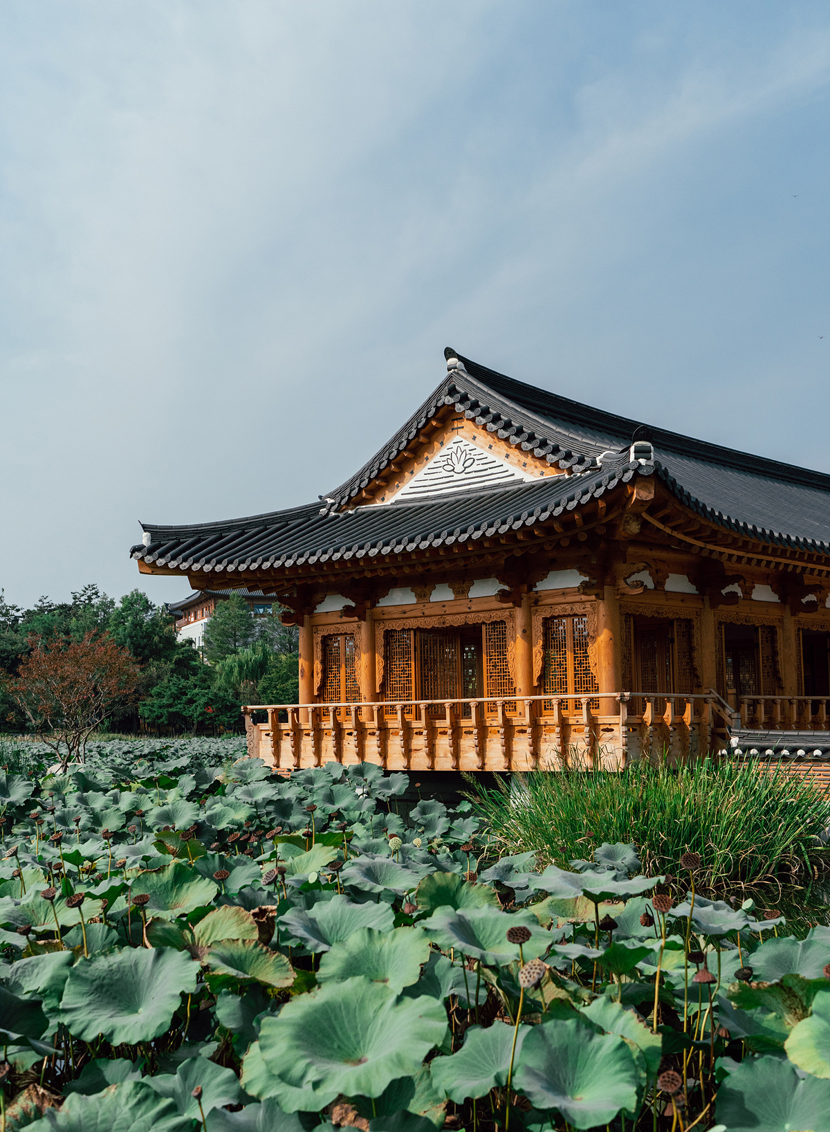 전주