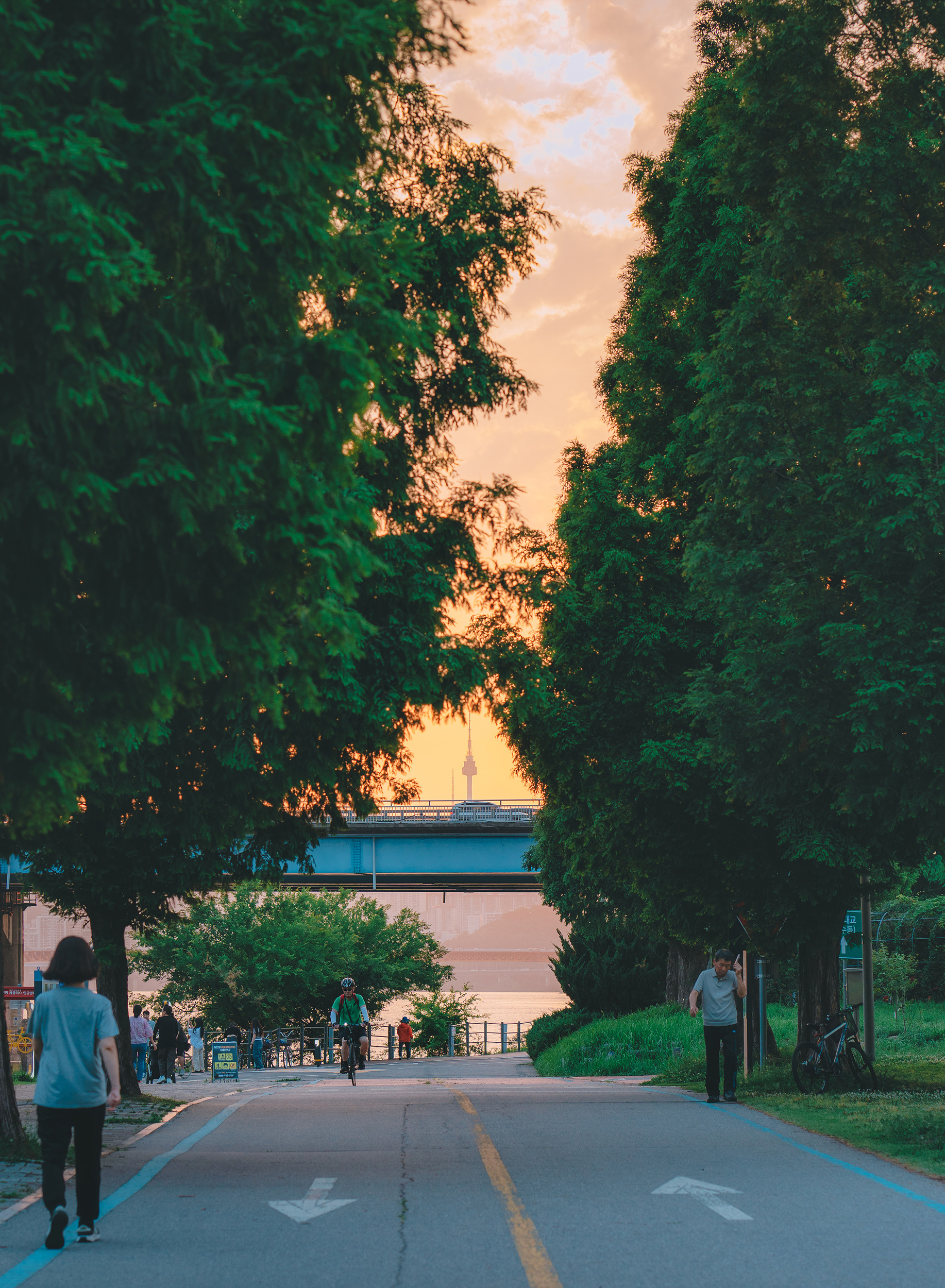 ZEISS Batis 1.8/85