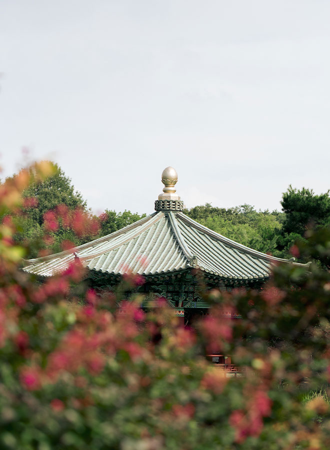 batis리뷰