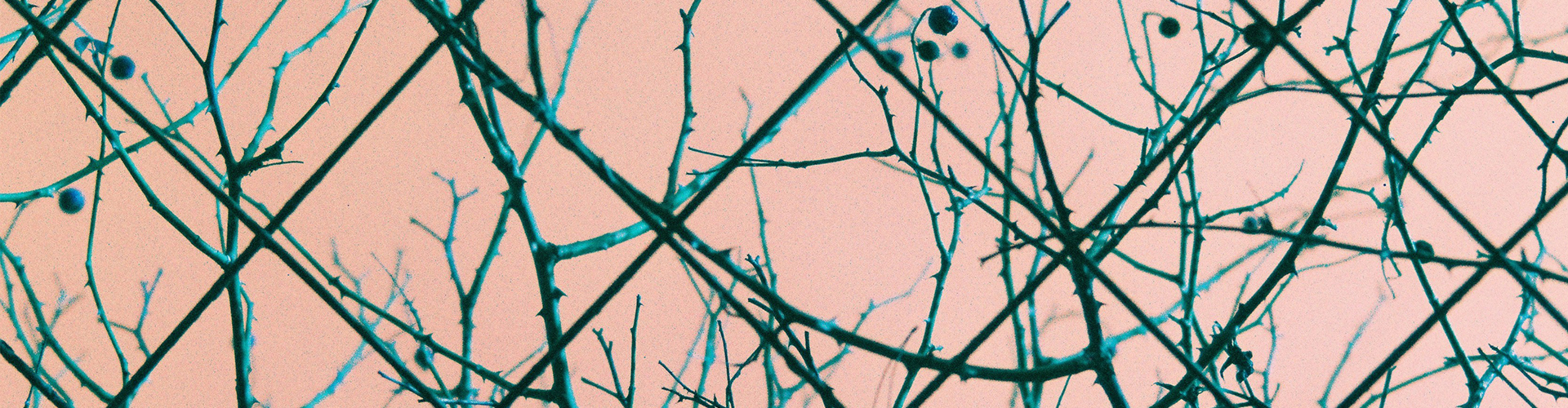 재밌는 거 들고 왔어요. HARMAN SWITCH AZURE