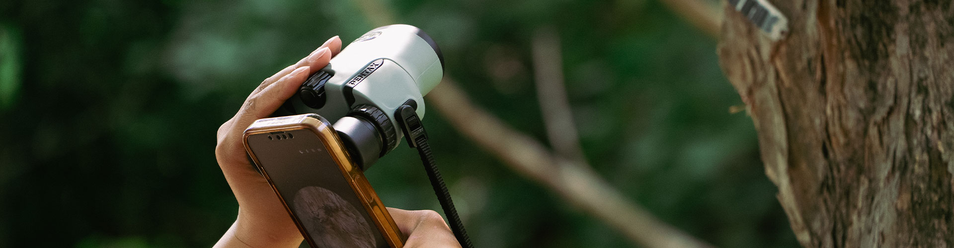 PENTAX Papilio III WR