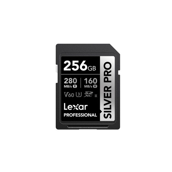 렉사 프로페셔널 SILVER PRO SD UHS-II 256GB