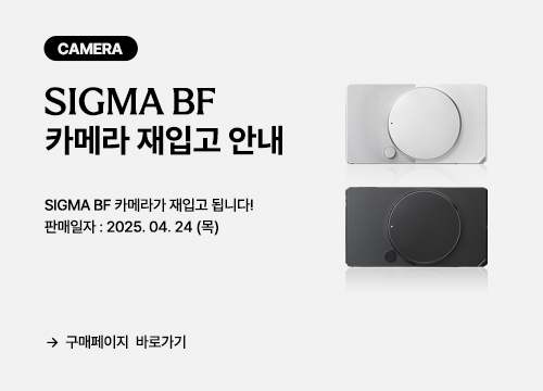 SIGMA BF 재입고 안내